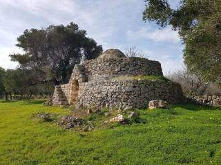 Terreno agricolo in vendita a carovigno contrada sfacilla s.n.c.