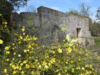 Rustico in vendita a carovigno contrada belvedere