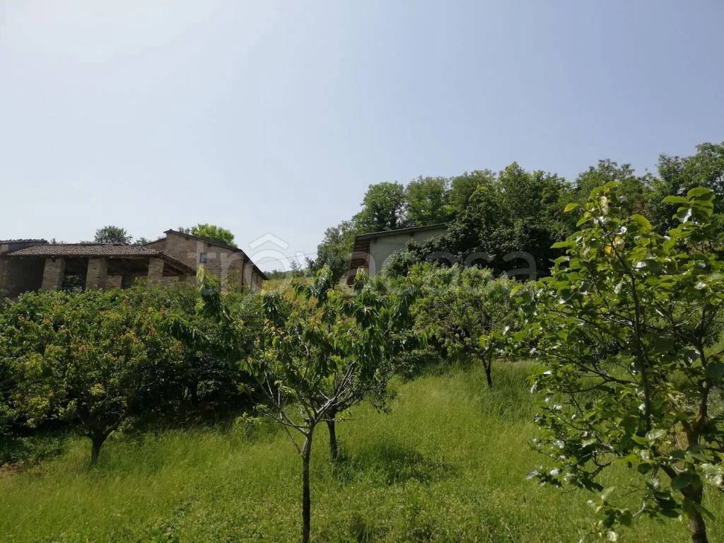 immagine annuncio 4 di 13