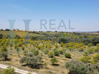 Terreno residenziale in vendita a siracusa viale ermocrate