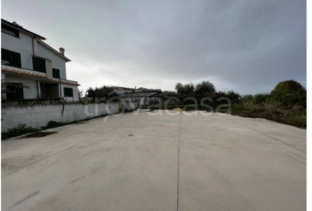 immagine annuncio 4 di 14
