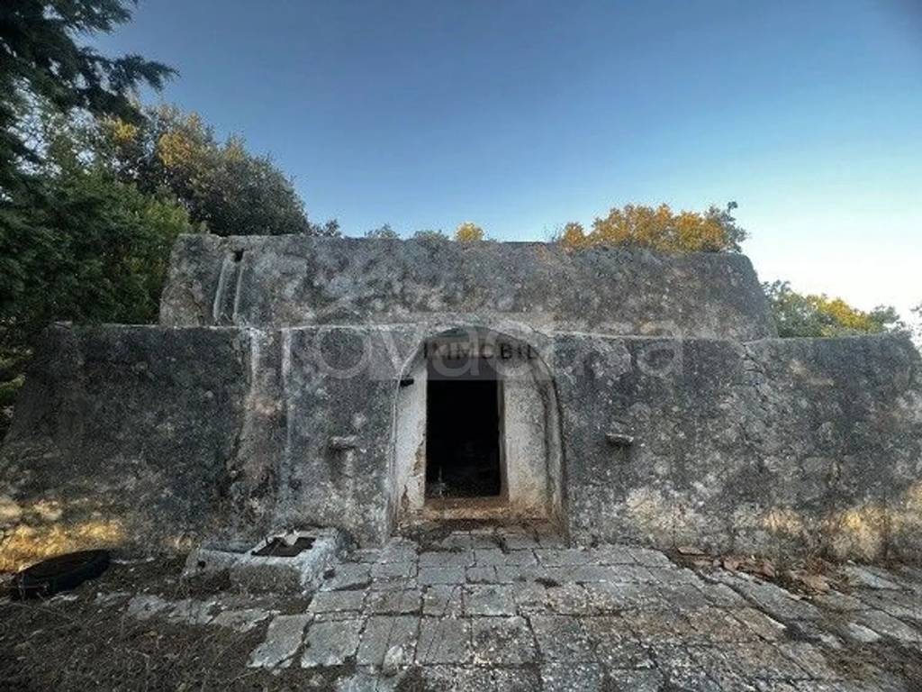 immagine annuncio 12 di 13