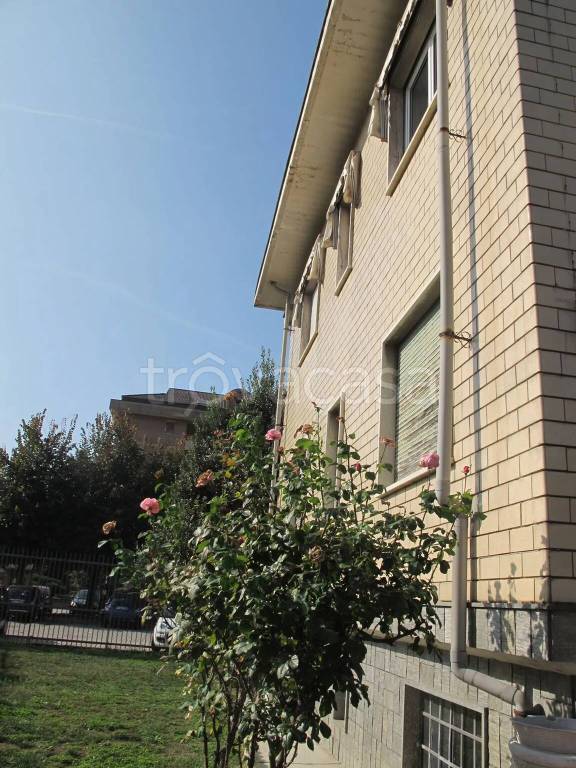 immagine annuncio 5 di 14