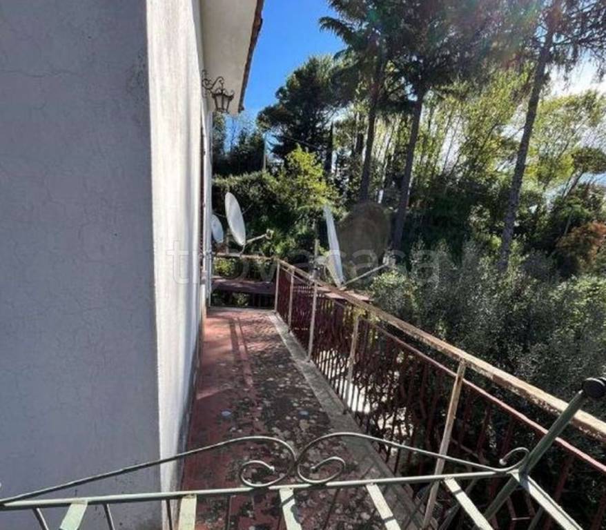 immagine annuncio 5 di 14