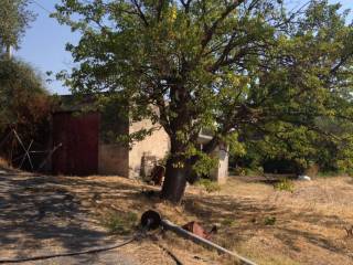 Terreno agricolo all'asta a regalbuto via filippo miraglia