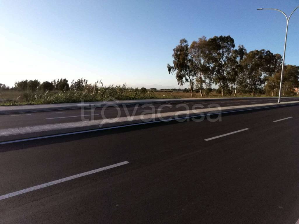 immagine annuncio 3 di 9