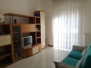 Appartamento in in affitto da privato a segrate via giuseppe mazzini, 43