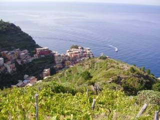 Ristorante in vendita a riomaggiore via nostra signora della salute