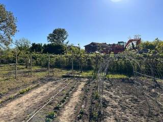 Terreno agricolo in vendita a carignano via gennero