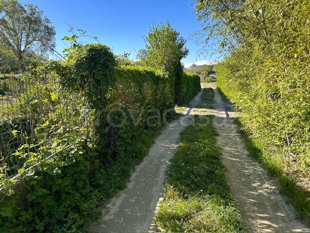 immagine annuncio 2 di 7