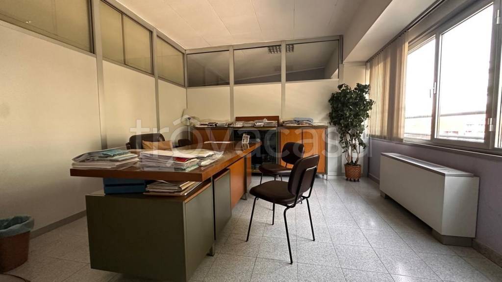 immagine annuncio 9 di 14