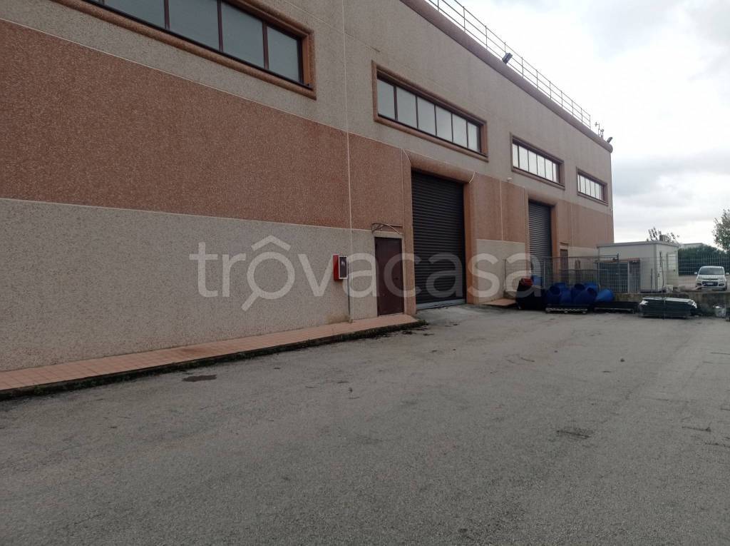 immagine annuncio 1 di 2