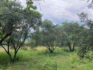 Terreno agricolo in vendita a impruneta 