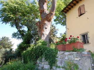 Colonica in vendita a prato via giolica di sopra