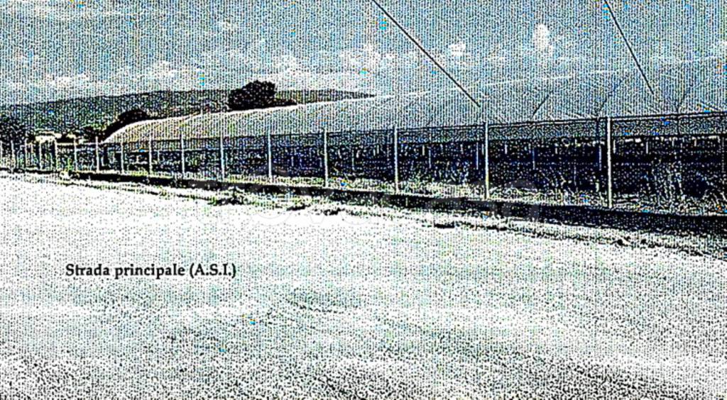 immagine annuncio 2 di 11