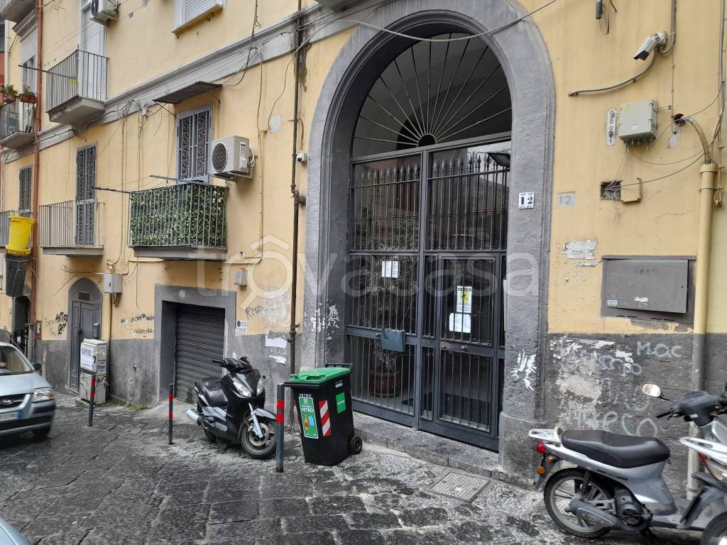 immagine annuncio 12 di 14