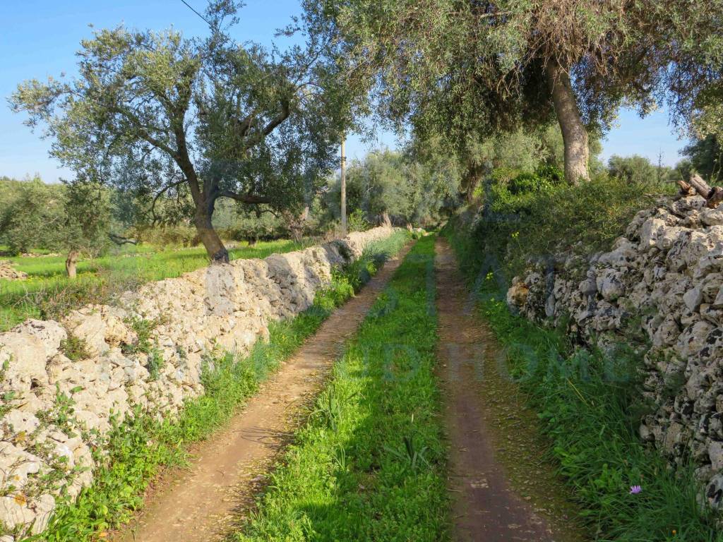 immagine annuncio 4 di 11