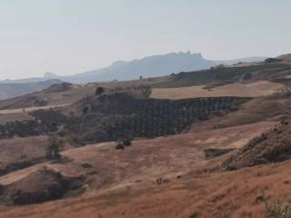 Terreno agricolo in vendita a cianciana cianciana, ag