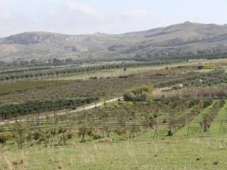 Terreno agricolo in vendita a ribera borgo bonsignore