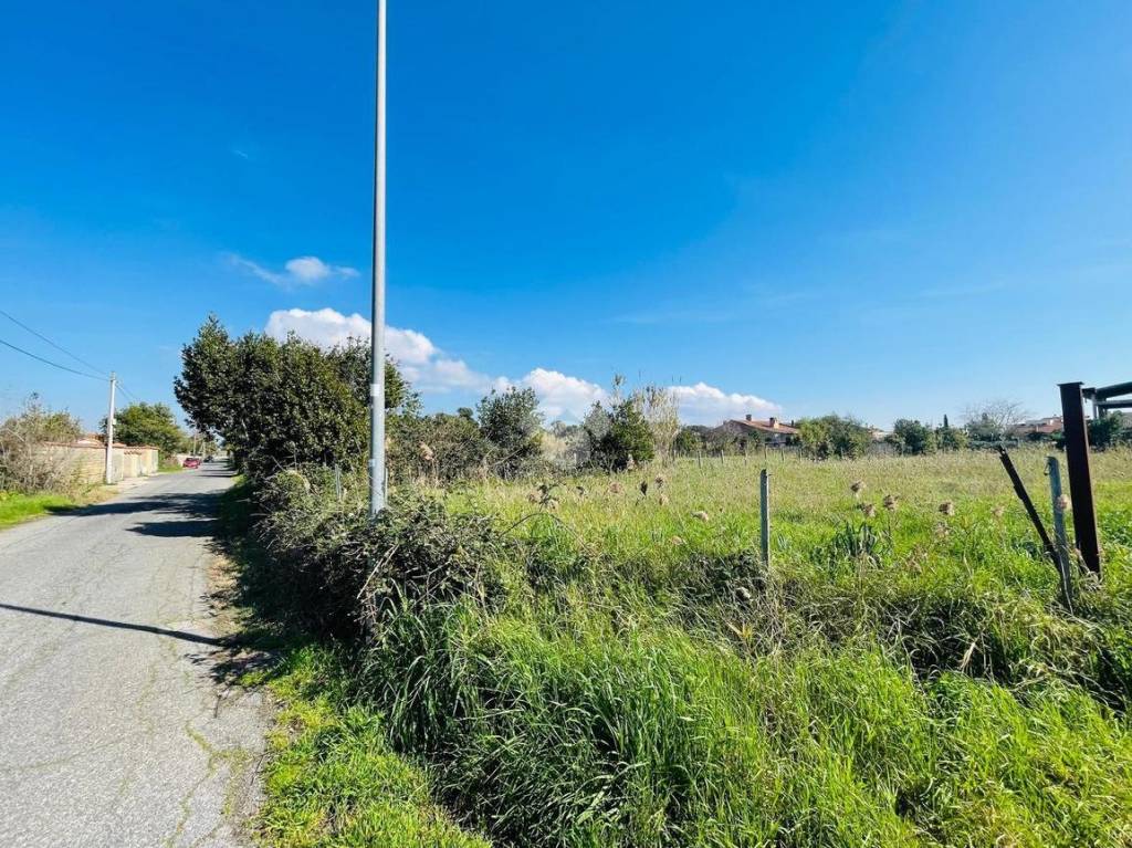 immagine annuncio 2 di 9