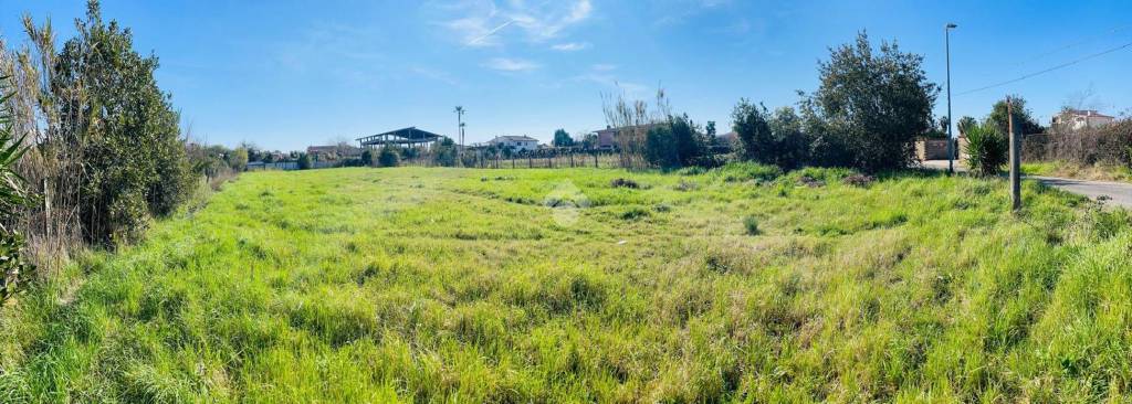 immagine annuncio 3 di 9