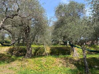 Terreno residenziale in vendita a lavagna via dei cogorno, 75