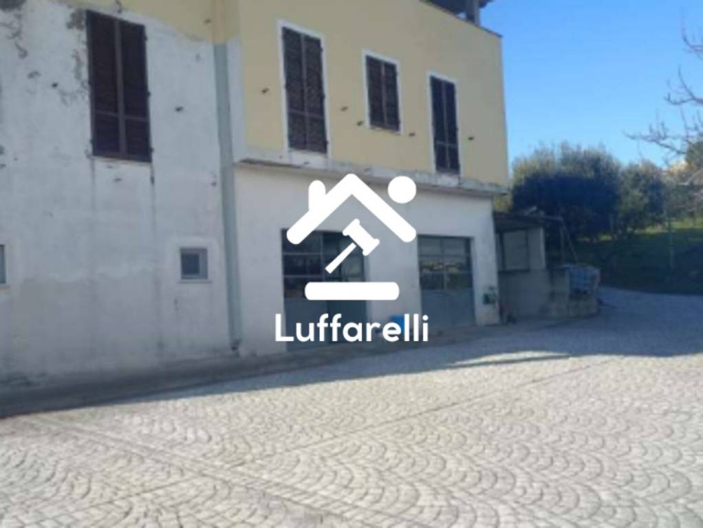 immagine annuncio 3 di 13
