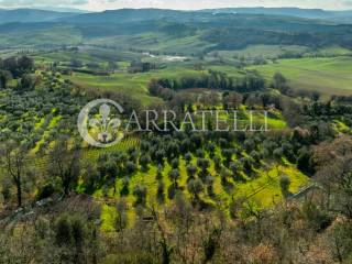 Terreno agricolo in vendita a pienza viale di circonvallazione, 29