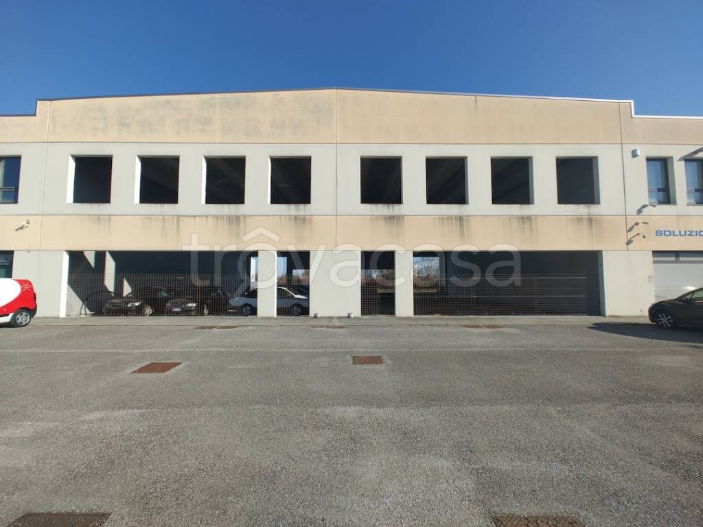 immagine annuncio 1 di 14