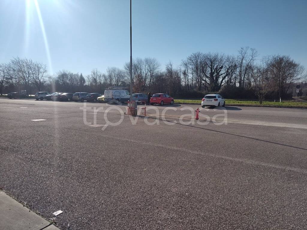 immagine annuncio 9 di 14