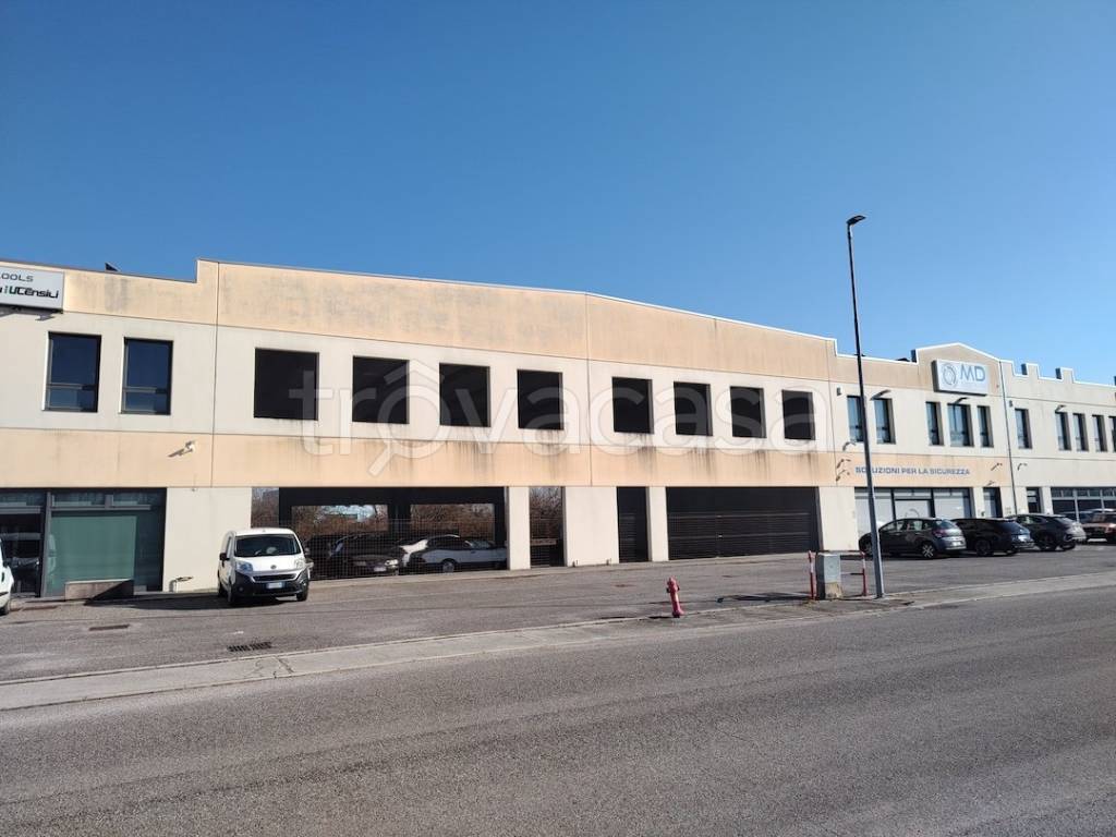 immagine annuncio 10 di 14