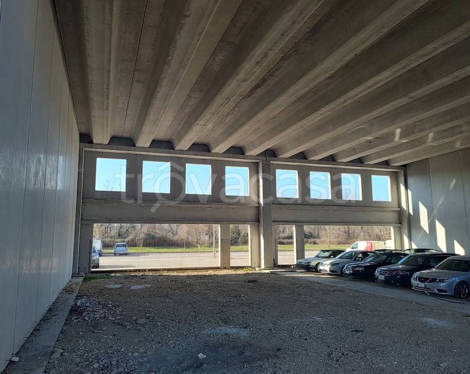 immagine annuncio 11 di 14