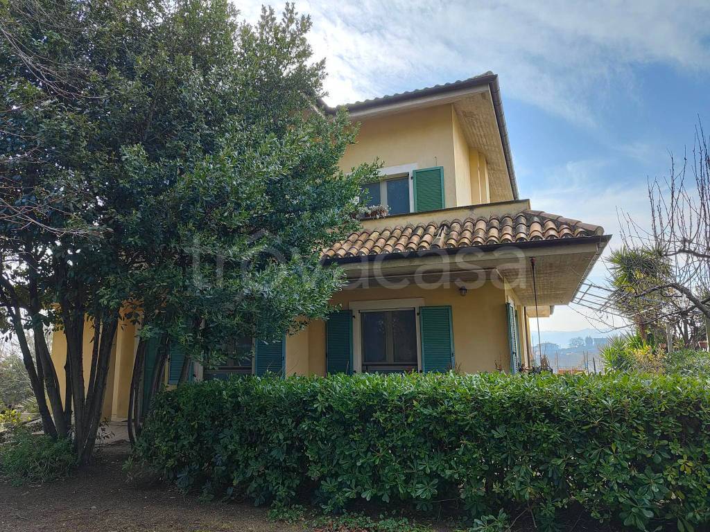 immagine annuncio 8 di 9