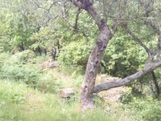 Terreno agricolo in vendita a baronissi 