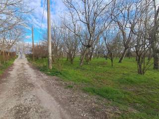 Terreno agricolo in vendita a cicciano via tavernanova snc