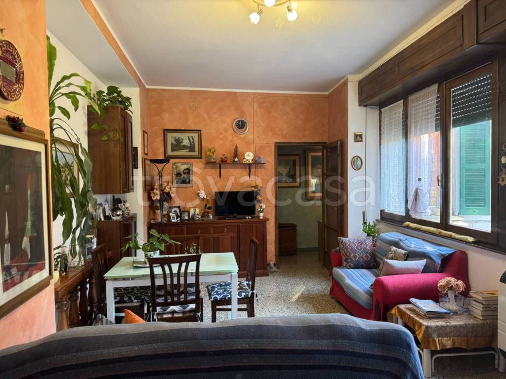immagine annuncio 4 di 14