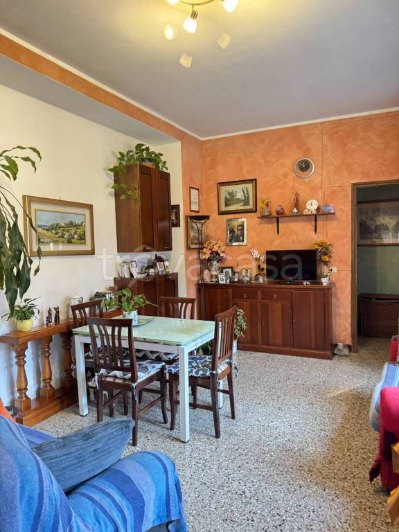 immagine annuncio 5 di 14