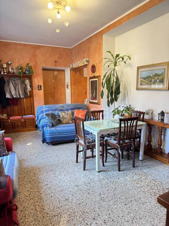 immagine annuncio 6 di 14