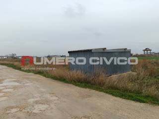 Terreno agricolo in vendita a foggia strada del salice nuovo