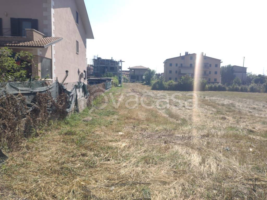 immagine annuncio 3 di 14