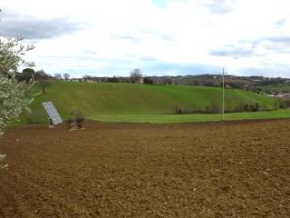 Terreno agricolo in vendita ad appignano 