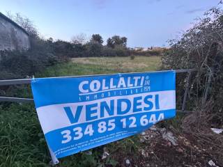 Terreno residenziale in vendita ad anzio via cavallo morto