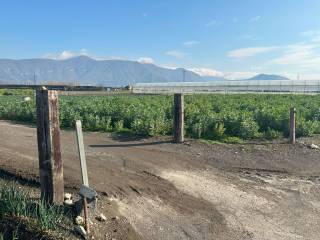 Terreno agricolo in vendita a poggiomarino contrada longola