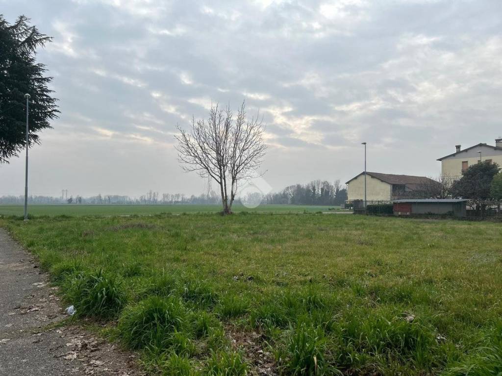 immagine annuncio 4 di 9