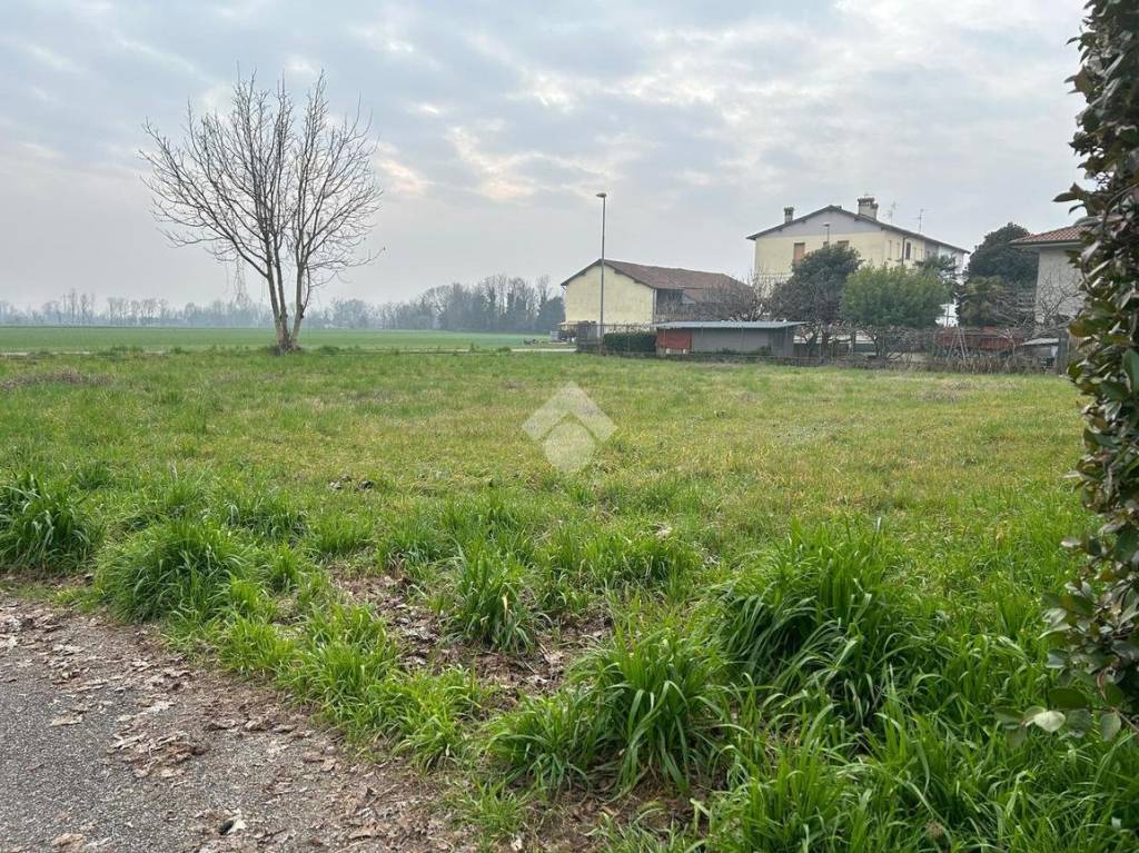 immagine annuncio 6 di 9