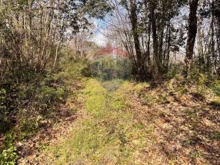 Terreno agricolo in vendita a zafferana etnea via cassone, sn