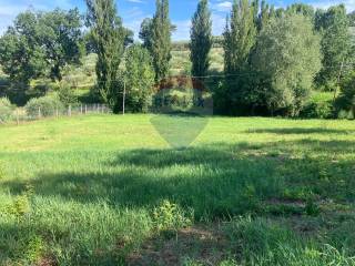 Terreno agricolo in vendita ad assisi 