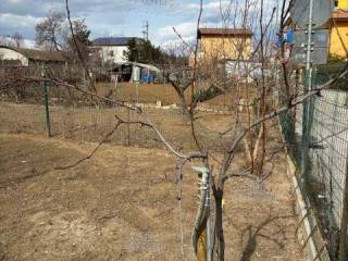 Terreno agricolo all'asta a giulianova via bompadre