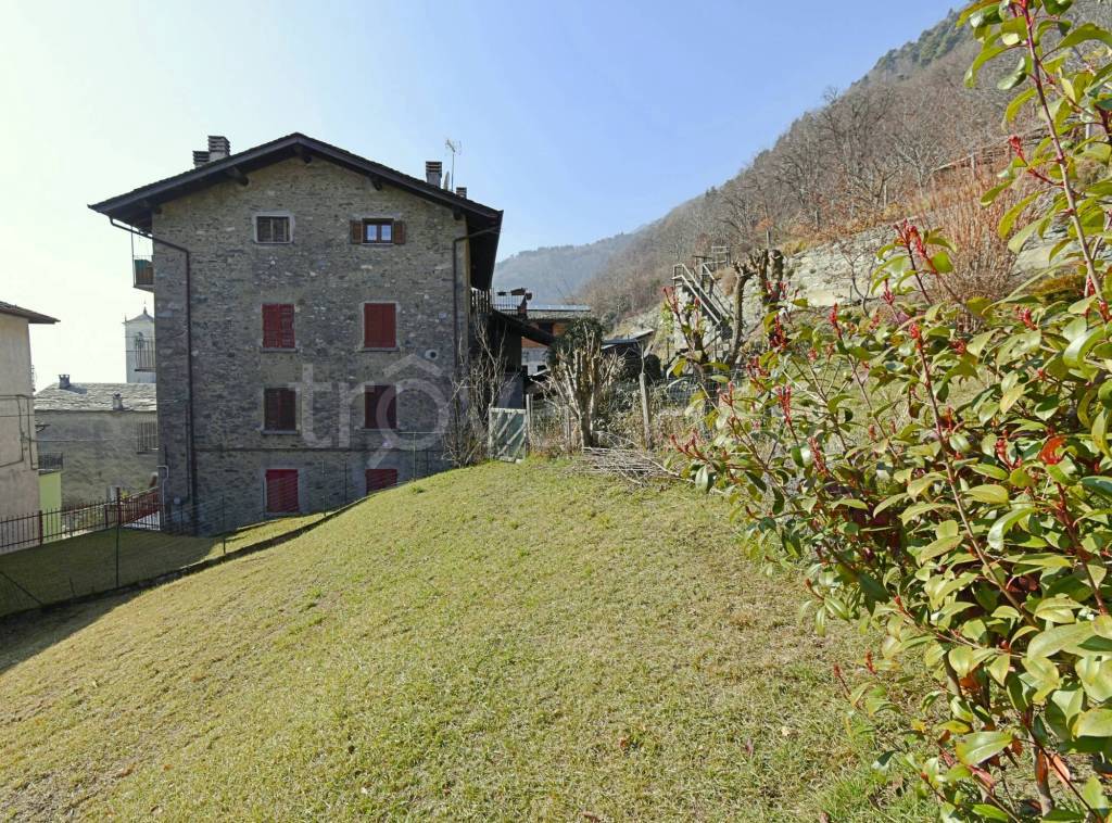 immagine annuncio 12 di 14