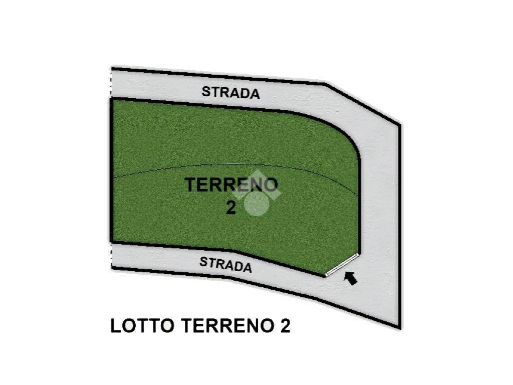 immagine annuncio 12 di 14